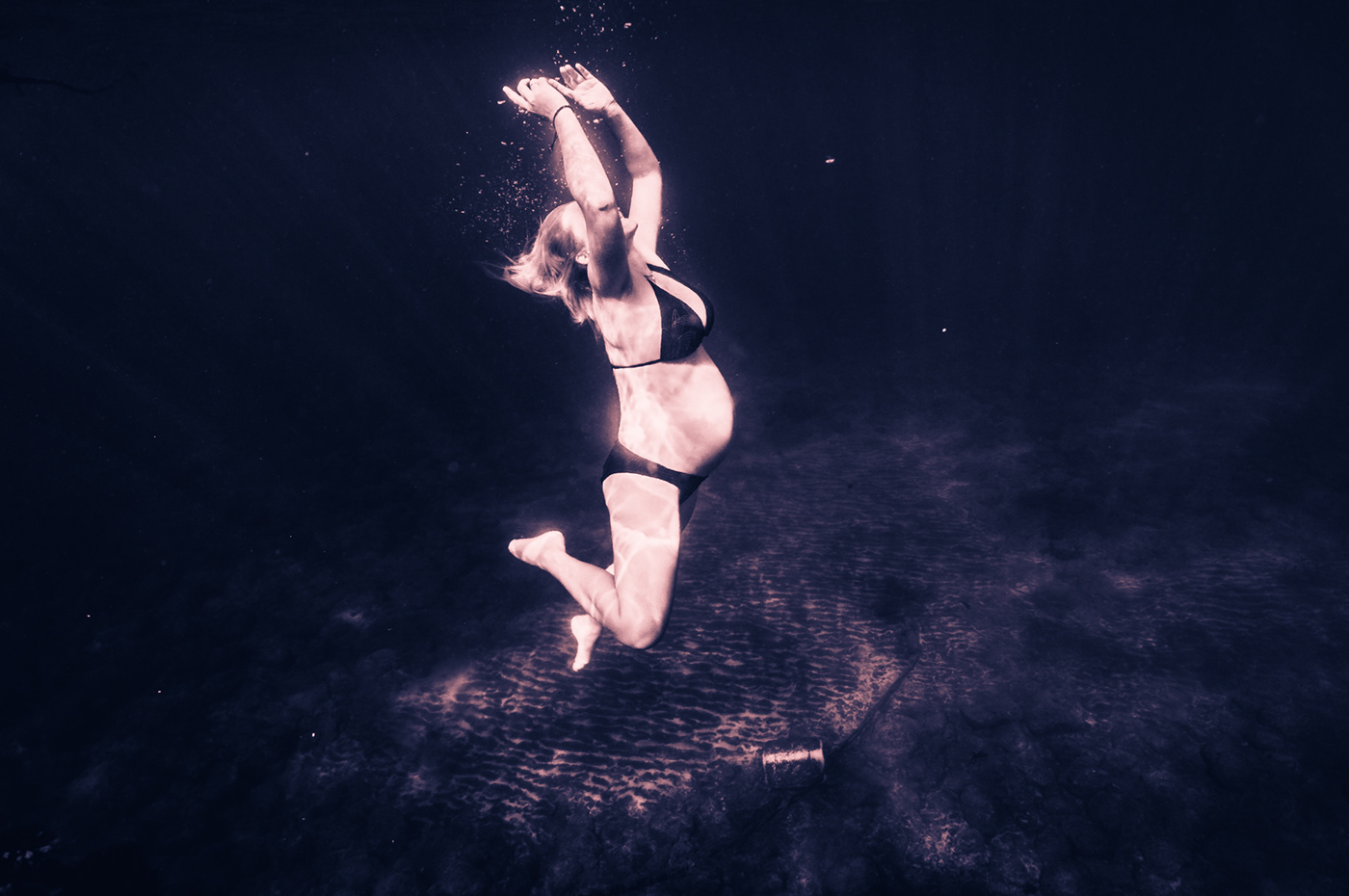 UNDERWATER PHOTOGRAPHY pregnant Ocean underwater dive
