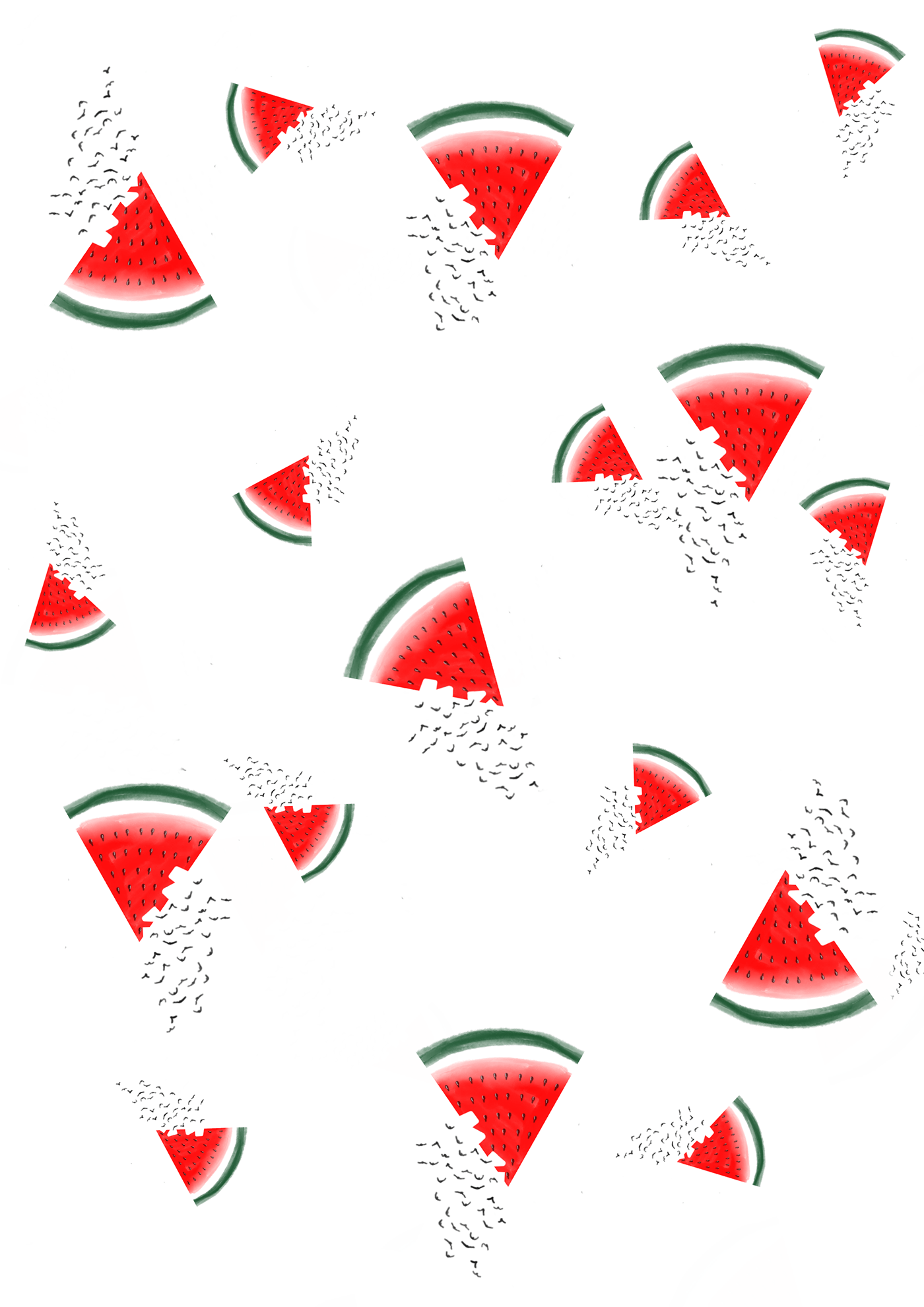 ILLUSTRATION  Digital Art  watermelon