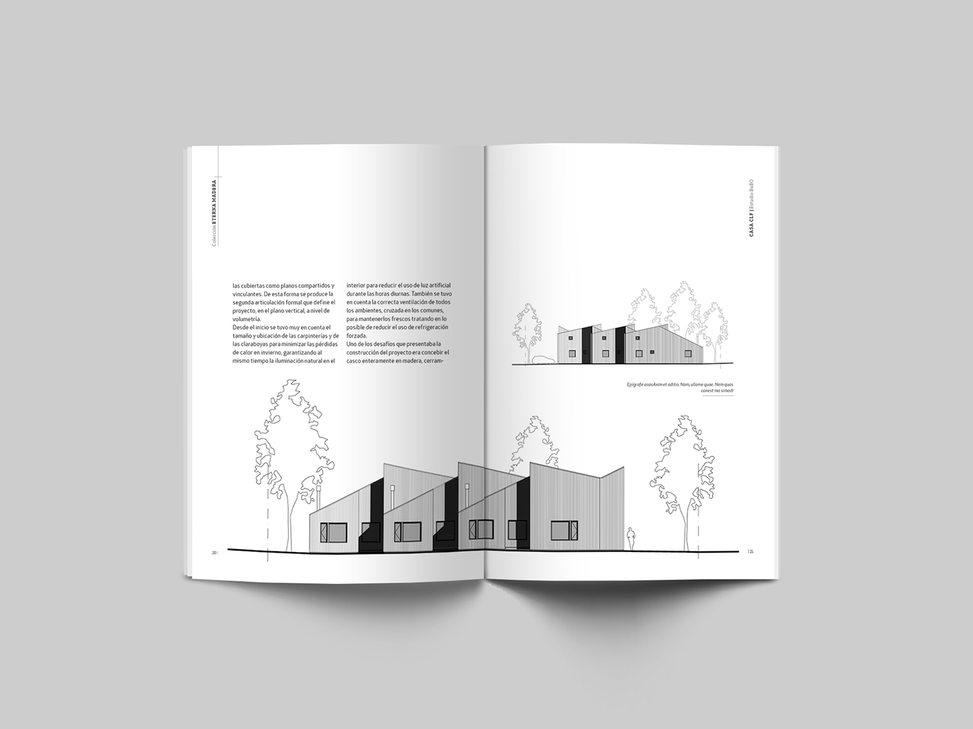colección libro diseño editorial diseño gráfico argentina madera Pocket Book book Collection