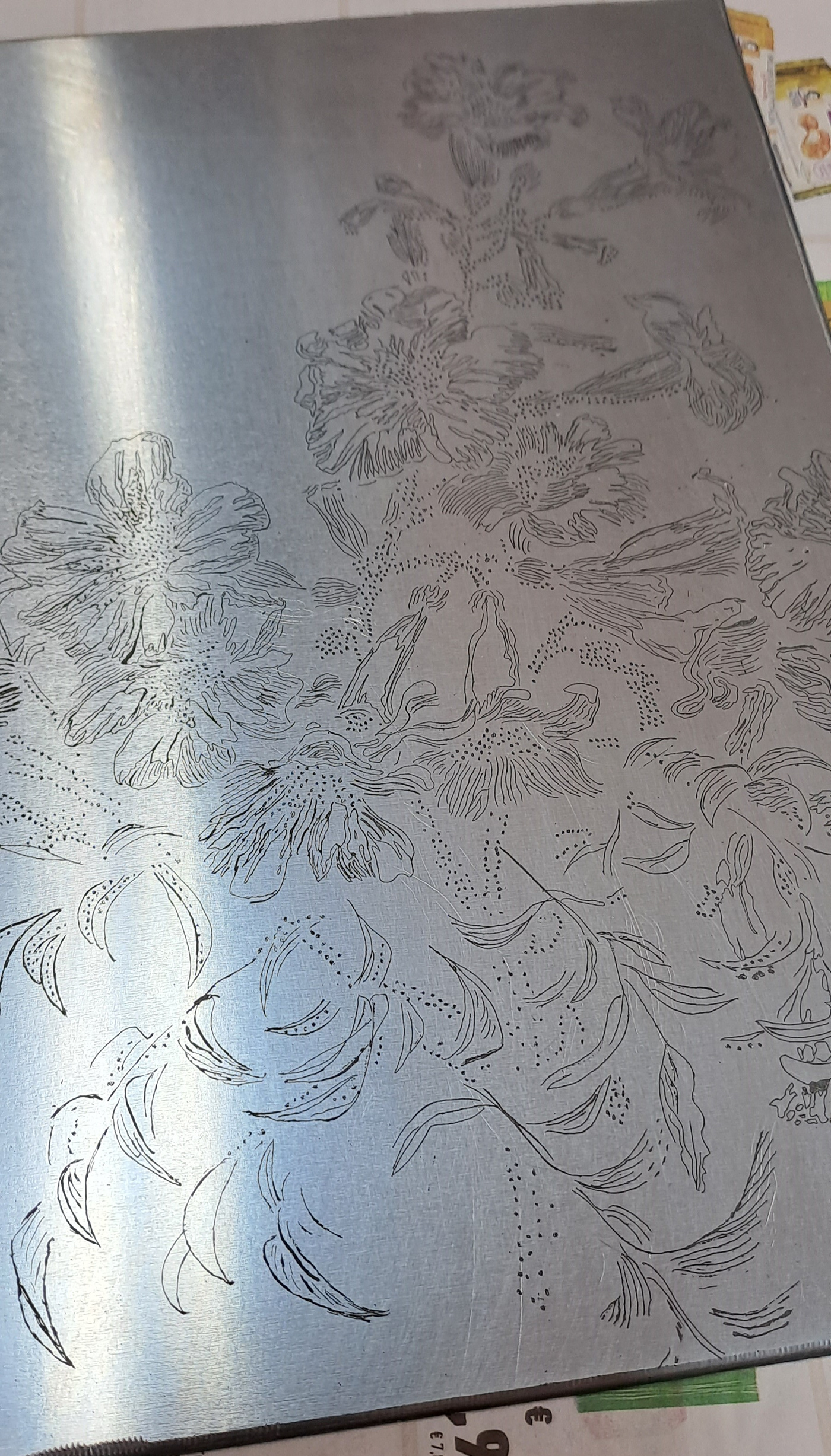 incisione print calcografia Drawing  engraving acquaforte acquatinta calcography ceramolle puntasecca