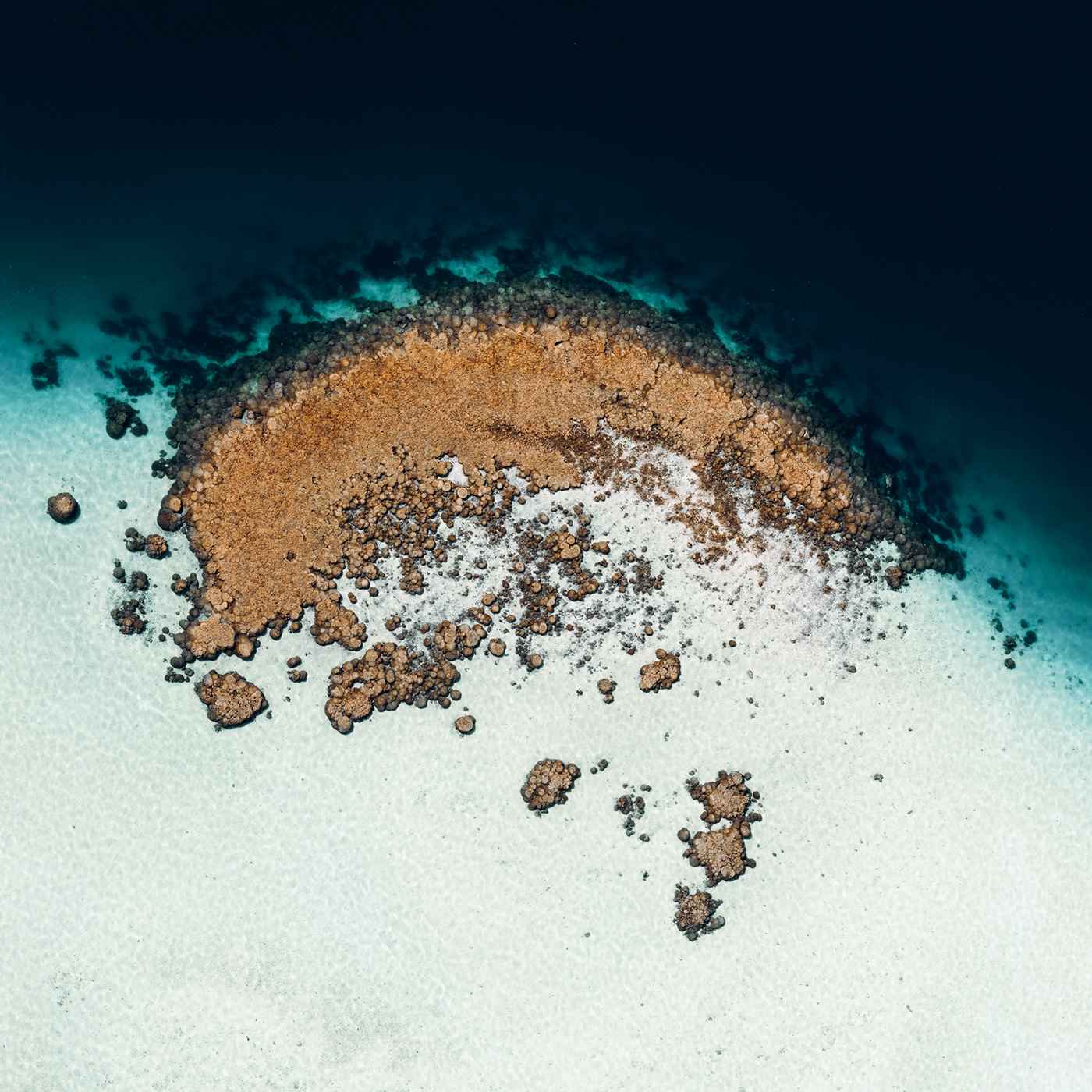abstract Aerial coral FINEART HAWAII Ocean reef sea water
