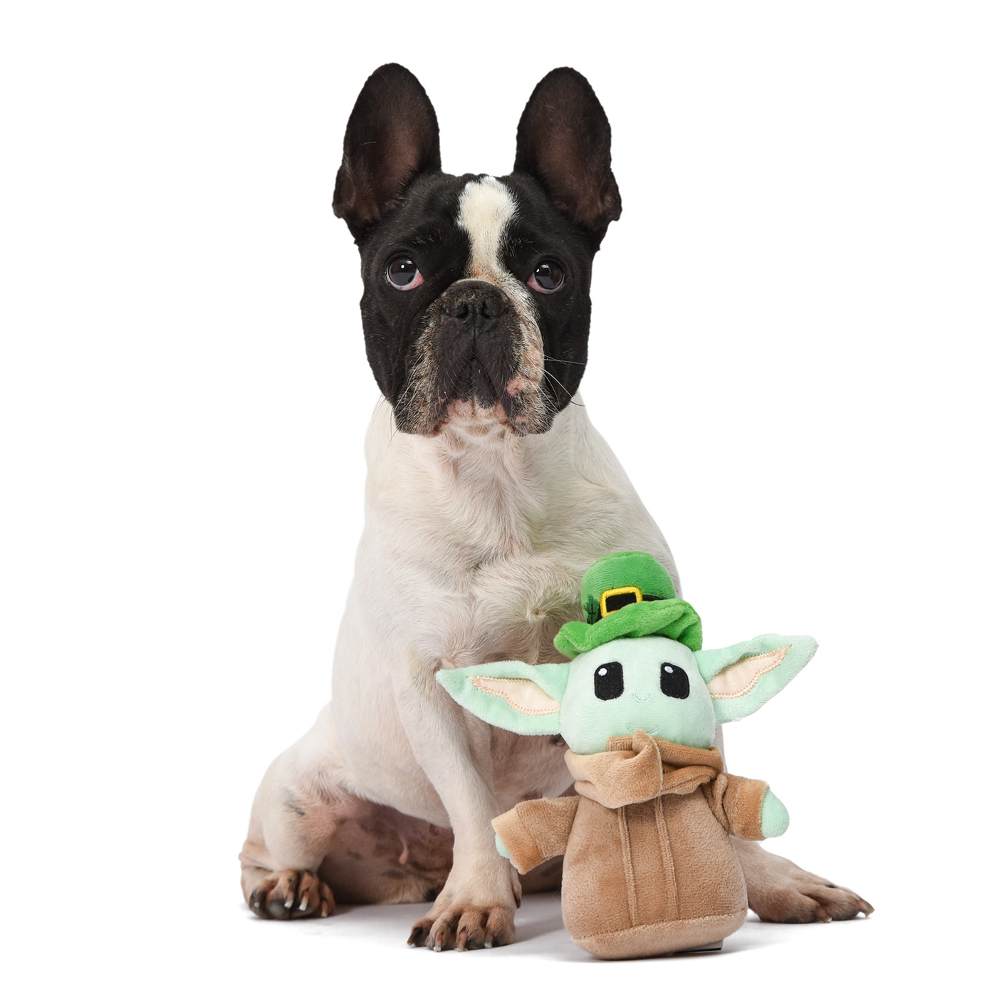 apparel Bandana dog dog toy Fashion  pets plush toy product design  toy design 