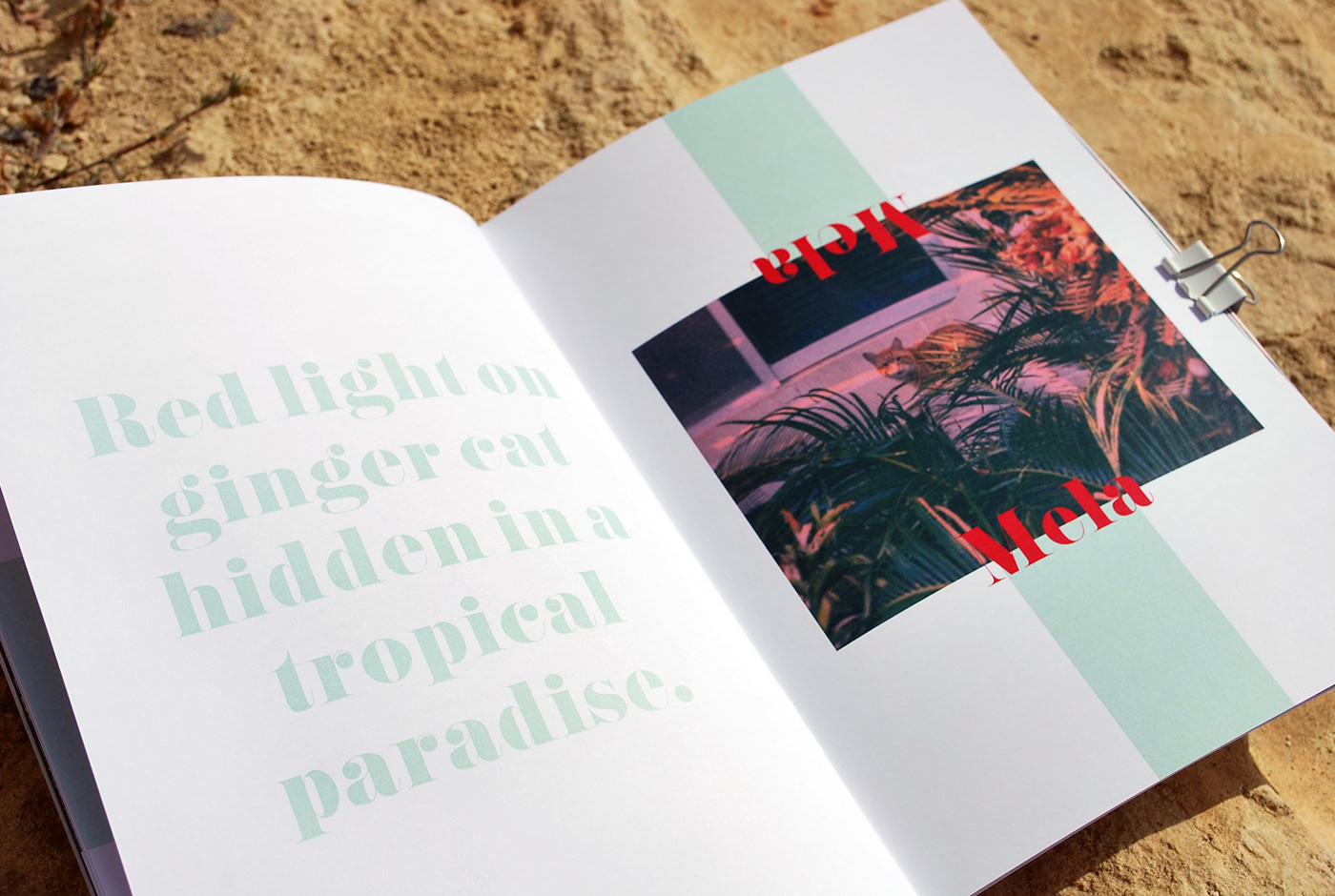 malta edition editorial book fanzine graphic design  art direction  Photography  design