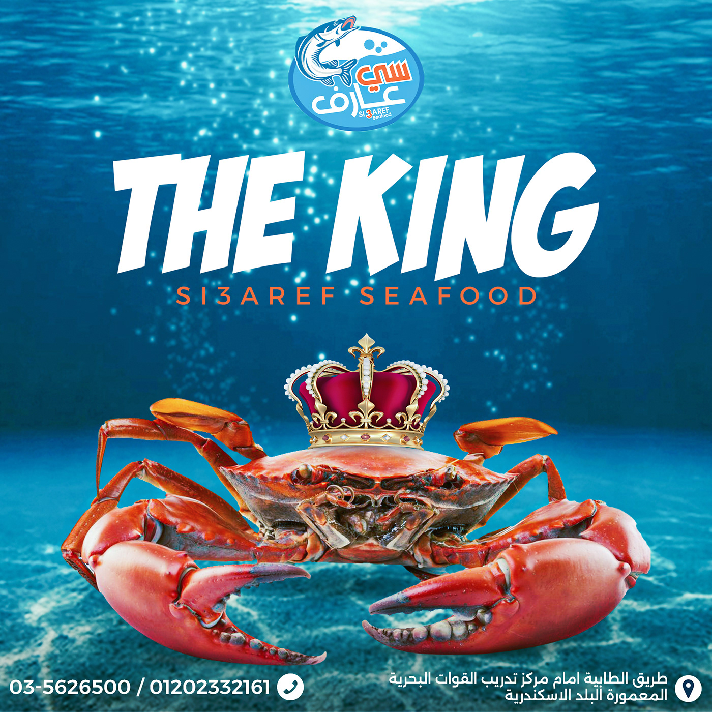ads brand identity restaurant seafood social media Social media post visual identity