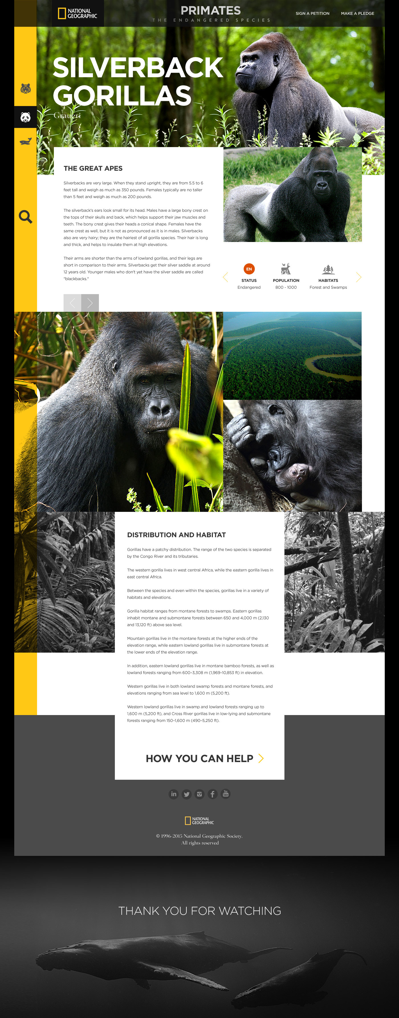 national geographic Nature Responsive web design animals Extinction animals website modern website app design iOS App