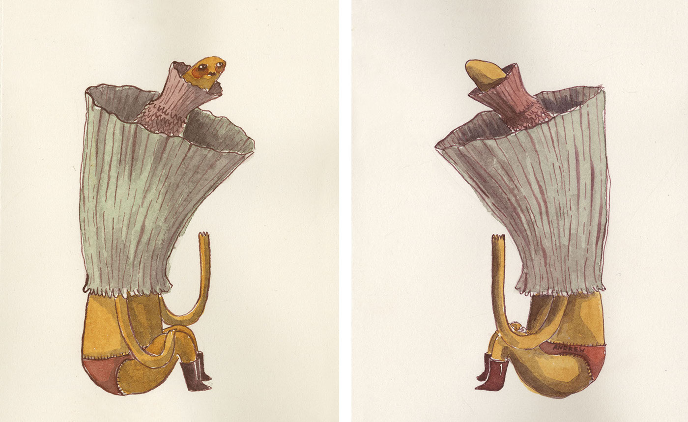 illustrstion mushroom creatures artistbook watercolor