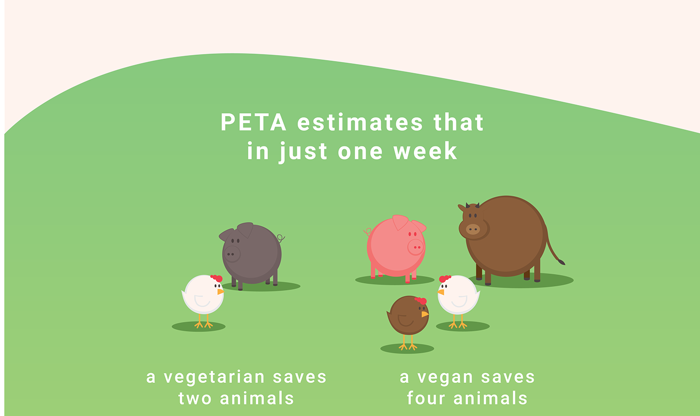 app vegan Vegetarian animals gamify Sustainability
