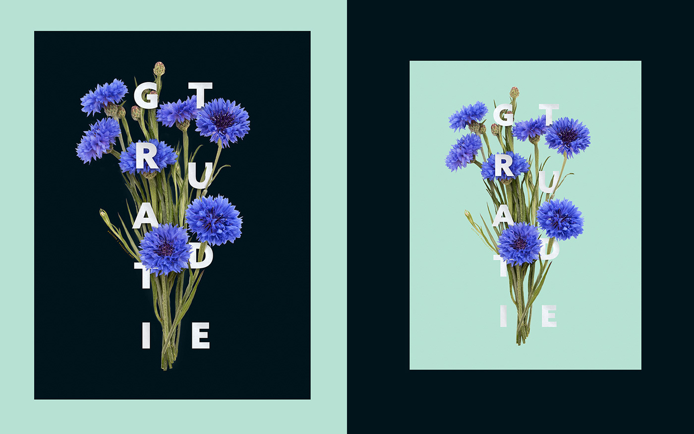 Advertising  floral typography flower design gliturr Instagram Post poster illustration social media layout Socialmedia typography design Typography Print