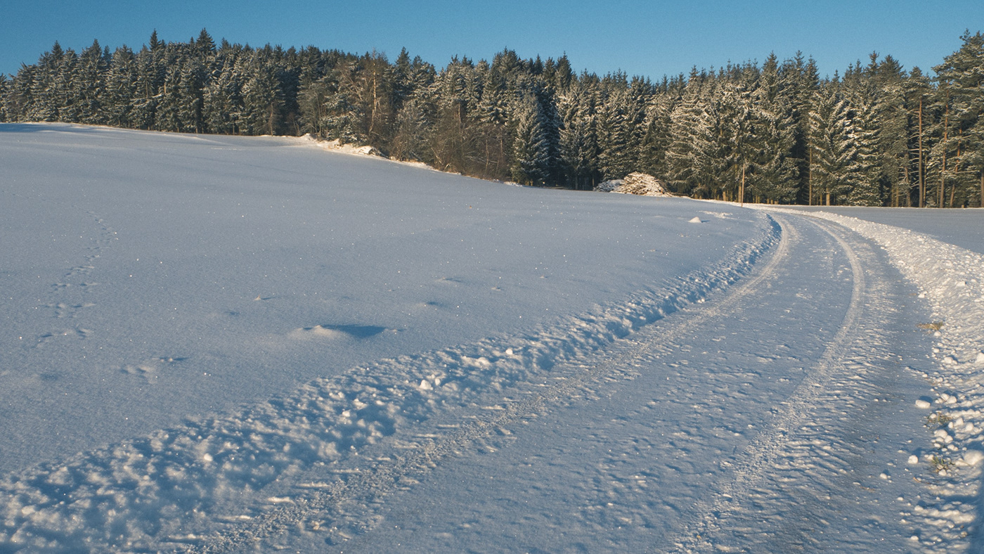 Waldviertel wald mystisch Mystic winter schnee