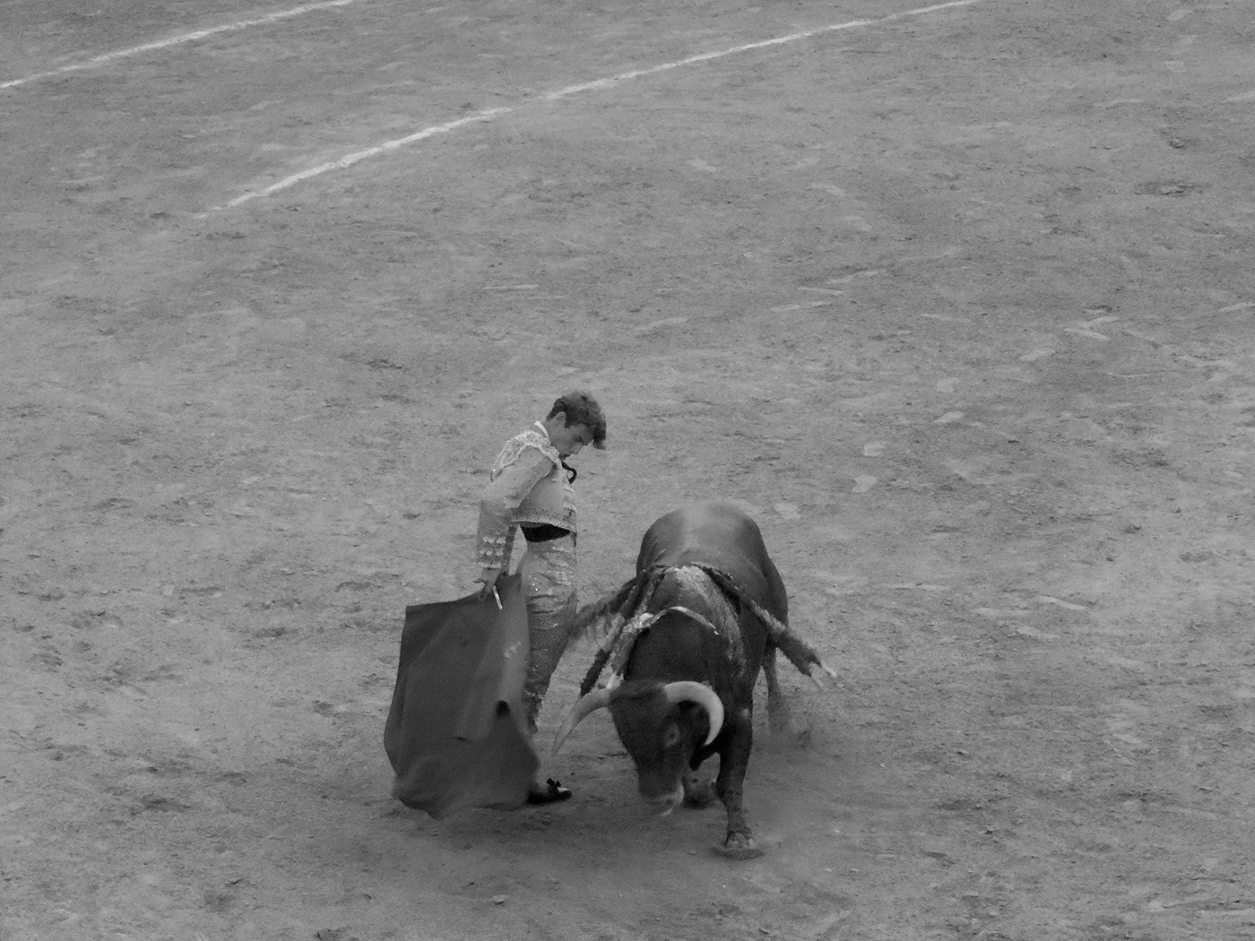bullfight matador torero Spanish-Style granada PLAZADETOROS bull fight