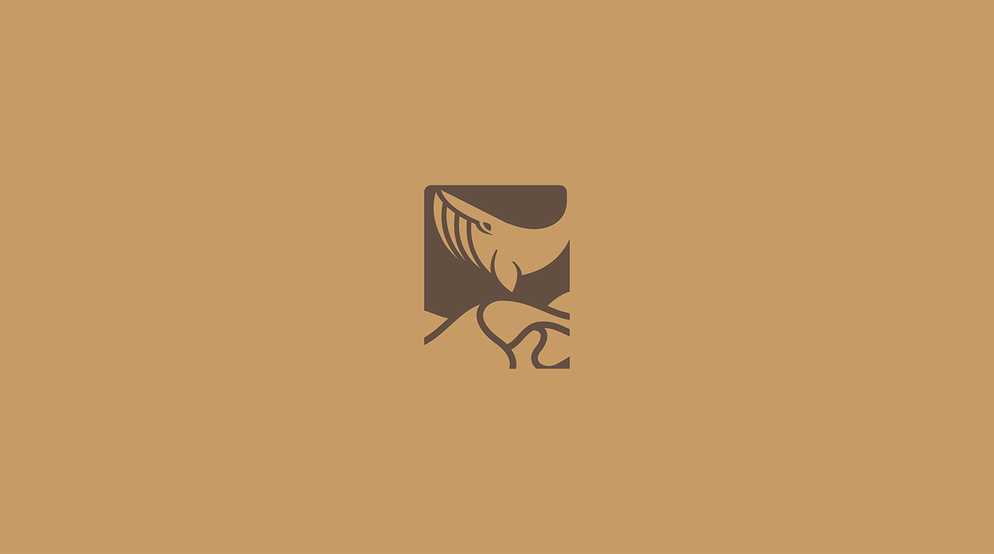 blue brand branding  brown desert logo Logo Design visual identity Whale
