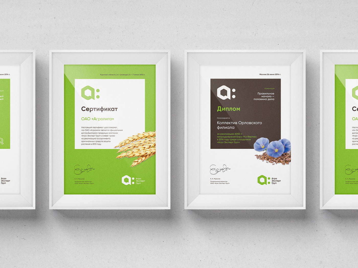 Plenum agroexpert ID rebranding branding  design cx corporate brand Russia
