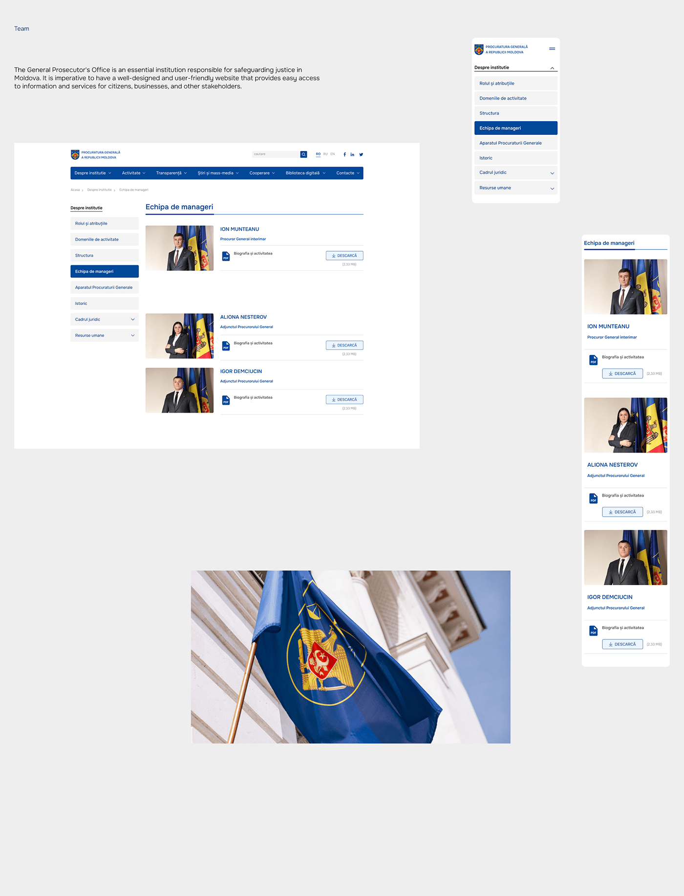 documentation Government Moldova NGO UI UI/UX user experience ux Web Design  Website