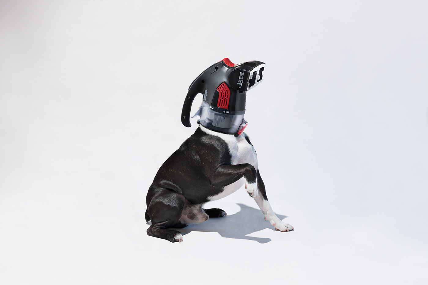 vacuum dog perros aspiradoras retoque Fotografia ilustracion