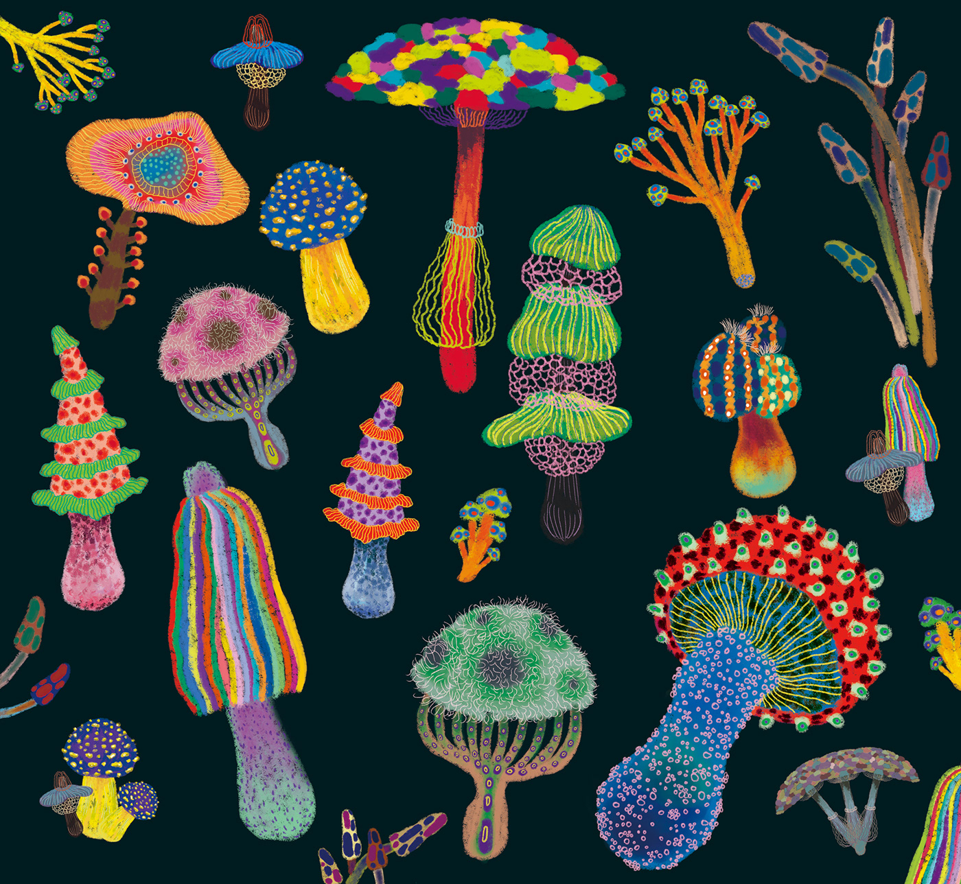 mushroom design ILLUSTRATION  Drawing  artwork Nature book print art patteren