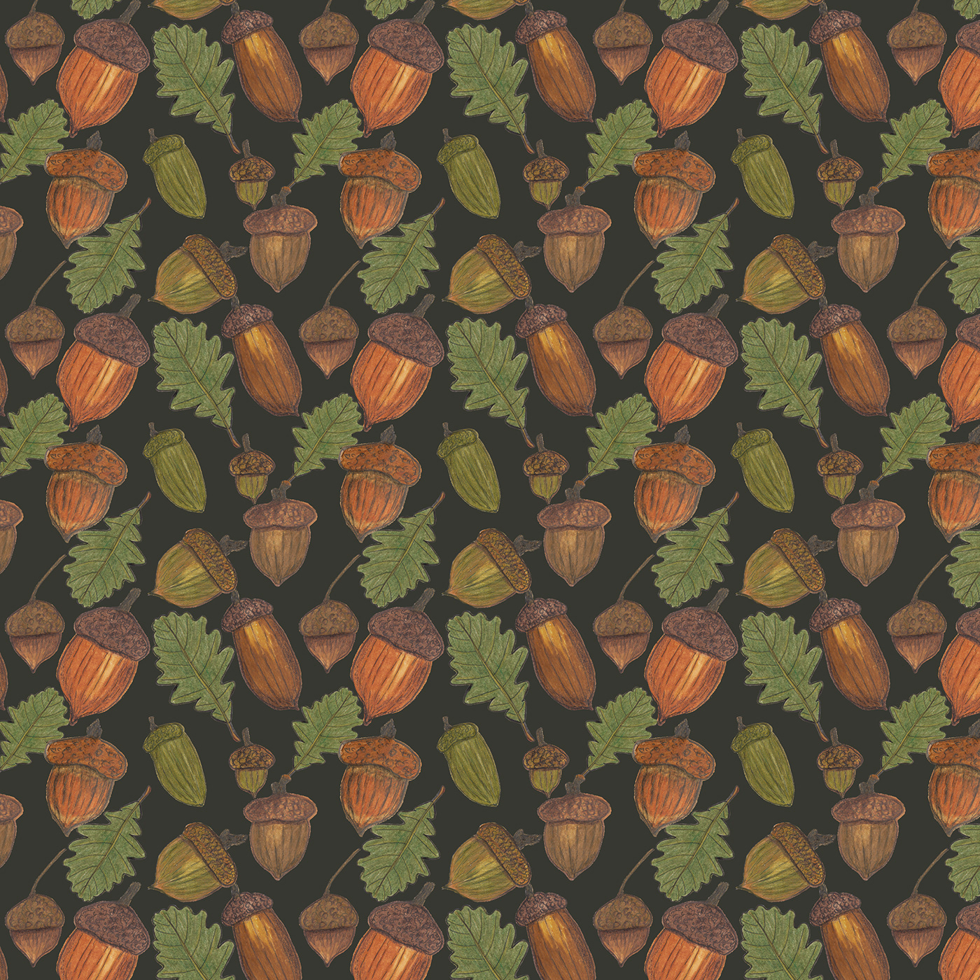 acorns pattern print print design  botanical illustration botanical botanic pattern acorn