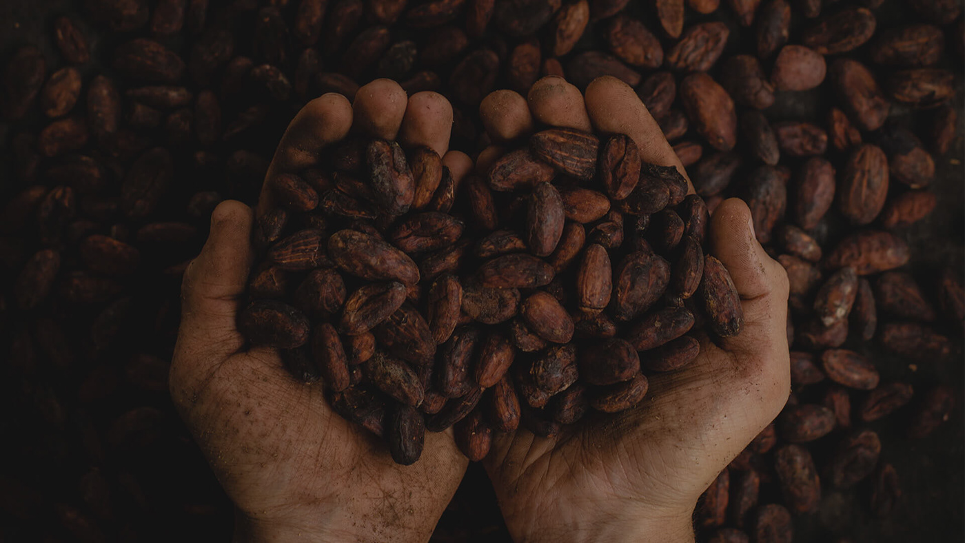 amêndoas chocolate nuts produto artesanal produtos naturais seeds sementes