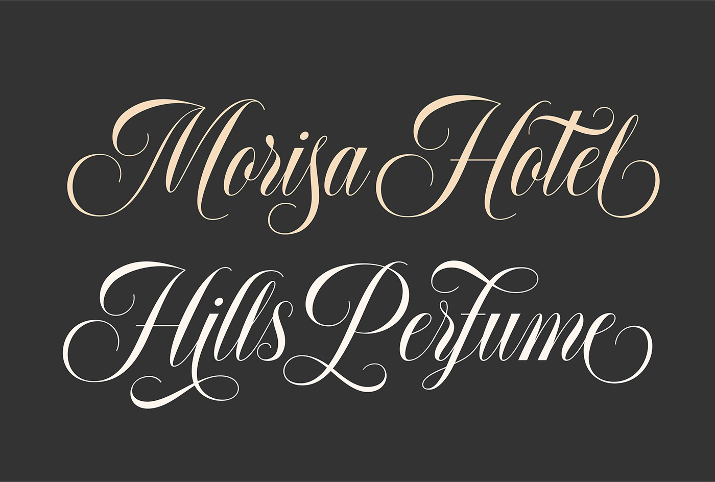 font Typeface Calligraphy   lettering handwriting branding  logo designer elegant Display