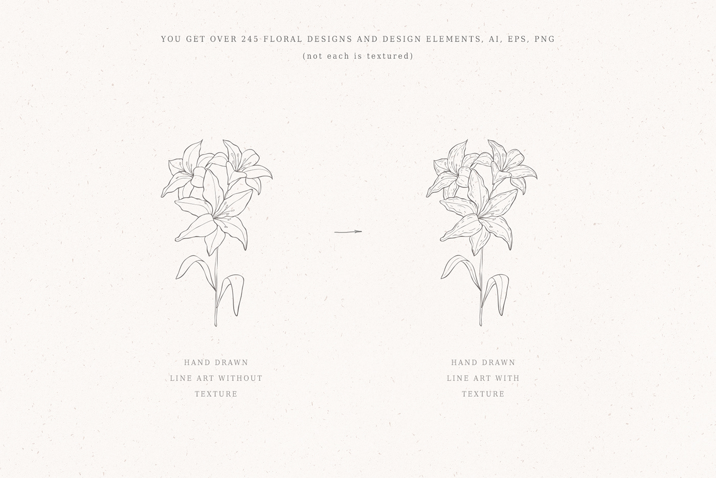Flowers line art illustration wedding frames floral logo plants invitations Holiday greeting cards tattoo
