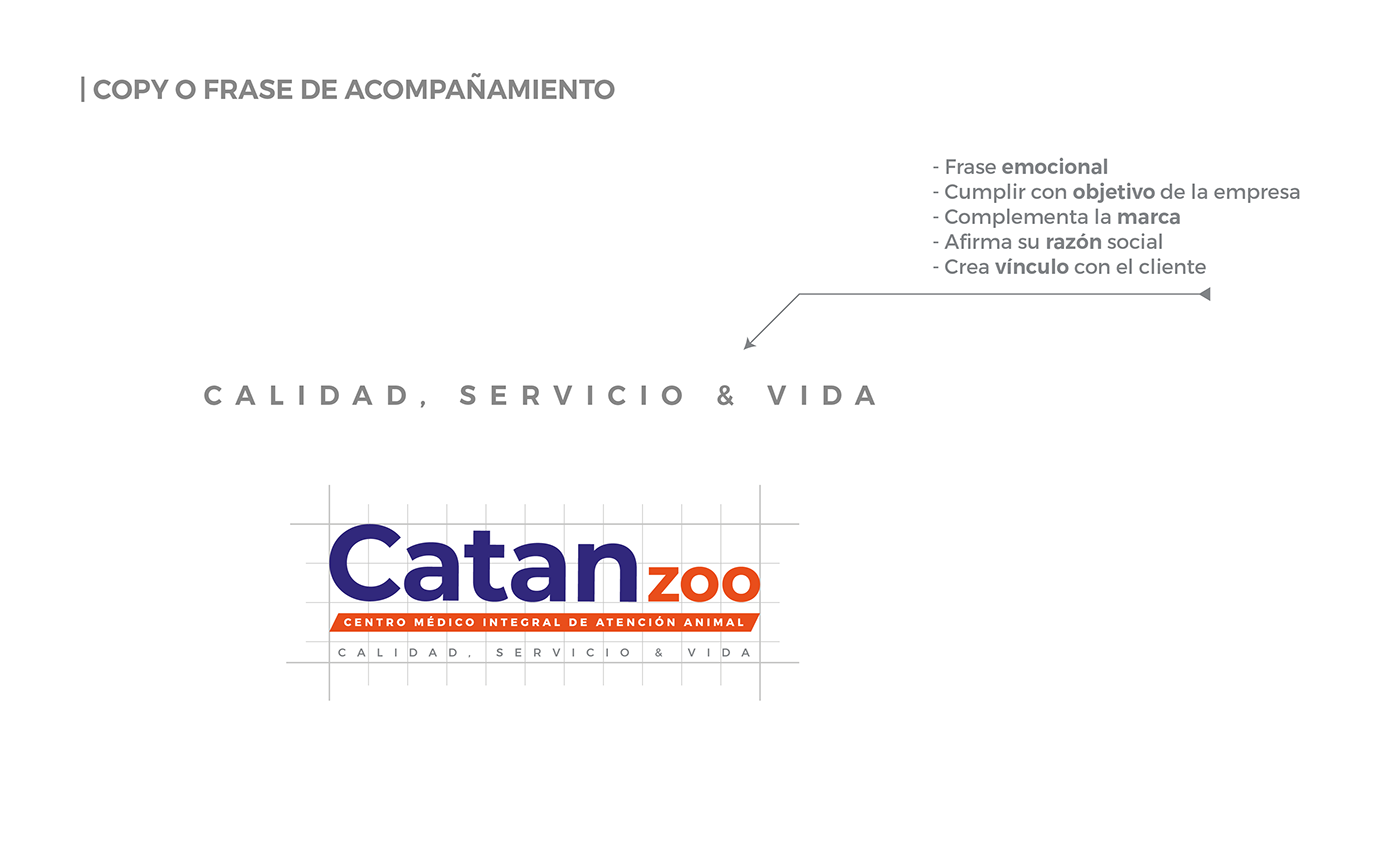 brand brand identity catan catanzoo identity Logo Design logos Logotype veterinaria veterinary