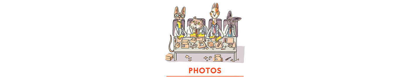 art cartoon Cat children illustration children's book digital illustration illustrations Picture book