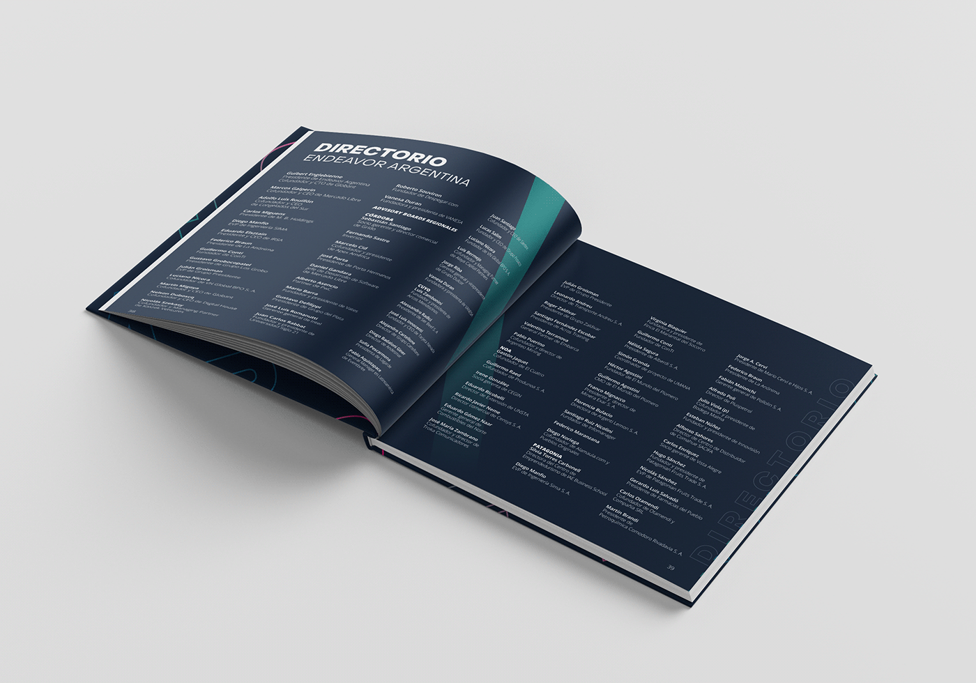 argentina book brochure design editorial font impact report type