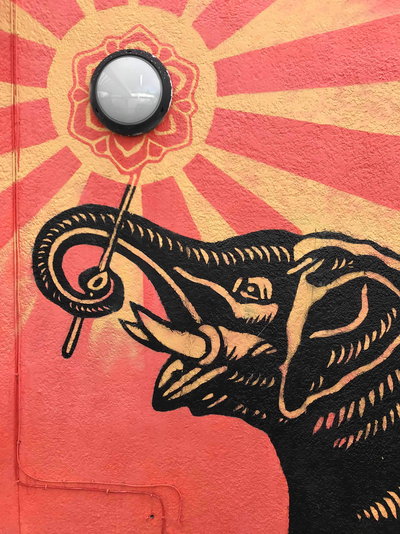 Shepard Fairey Graffiti mauritius