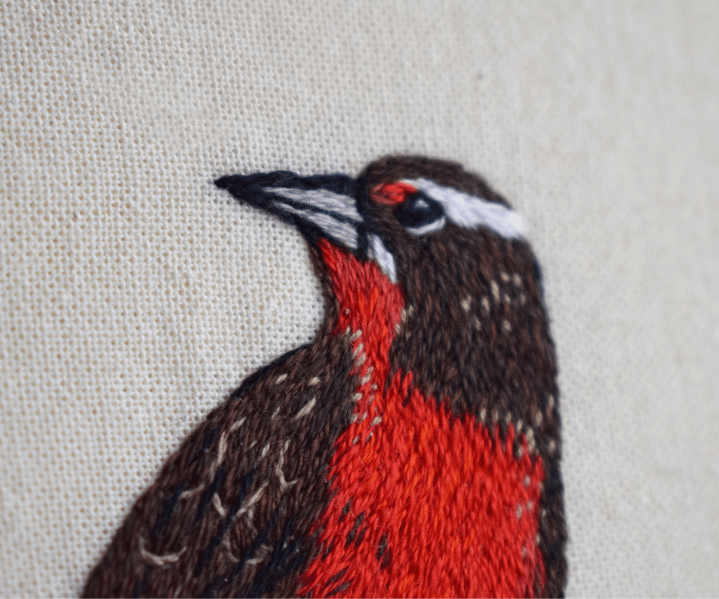 artwork birds bordado craft Embroidery embroidery art handembroidery handmade Needlework textile