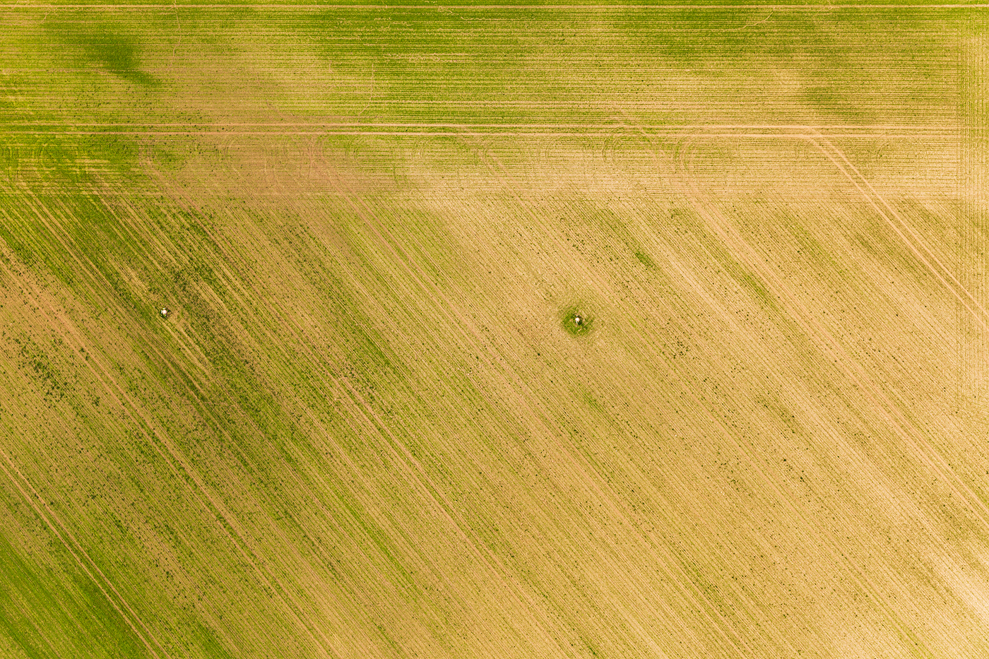 abstract Aerial Landscape Nature graphical Agricultural structure pattern above summer sunlight fields agriculture farming industrial