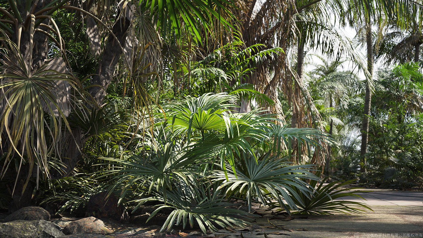 palm maxtree 3D Plant Model