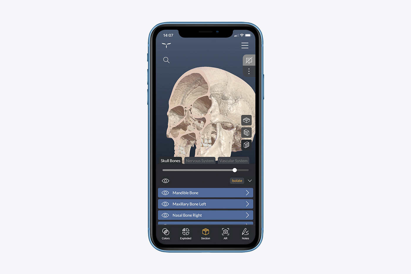 anatomy app Interface mobile skull UI brain medical medicine