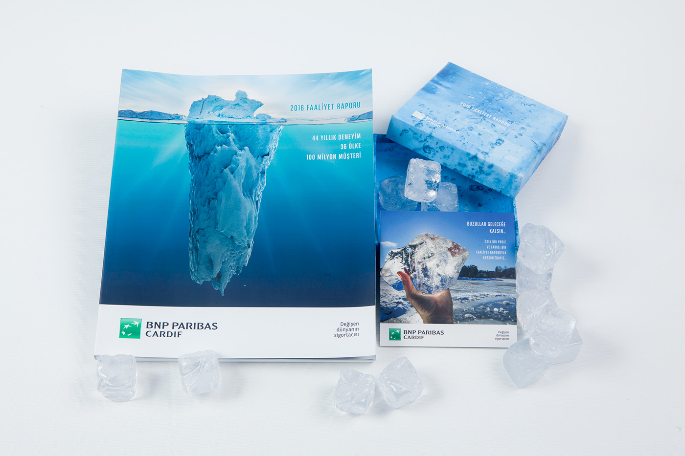 annual report ANNUAL report Bank iceberg social responsibility editorial box package