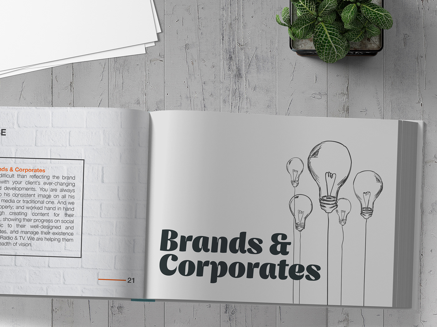 company profile branding  Advertising  magazine