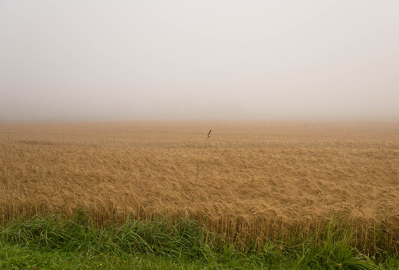 countryside Scandinavia Europe Travel fog MORNING decay field house