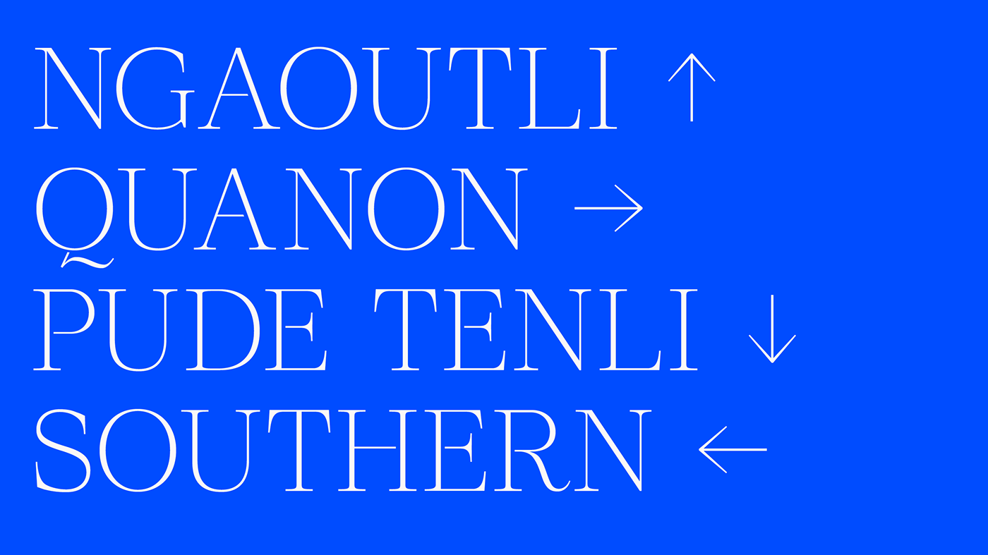 editorial design  font design graphic design  Layout Layout Design newspaper type type design typography  