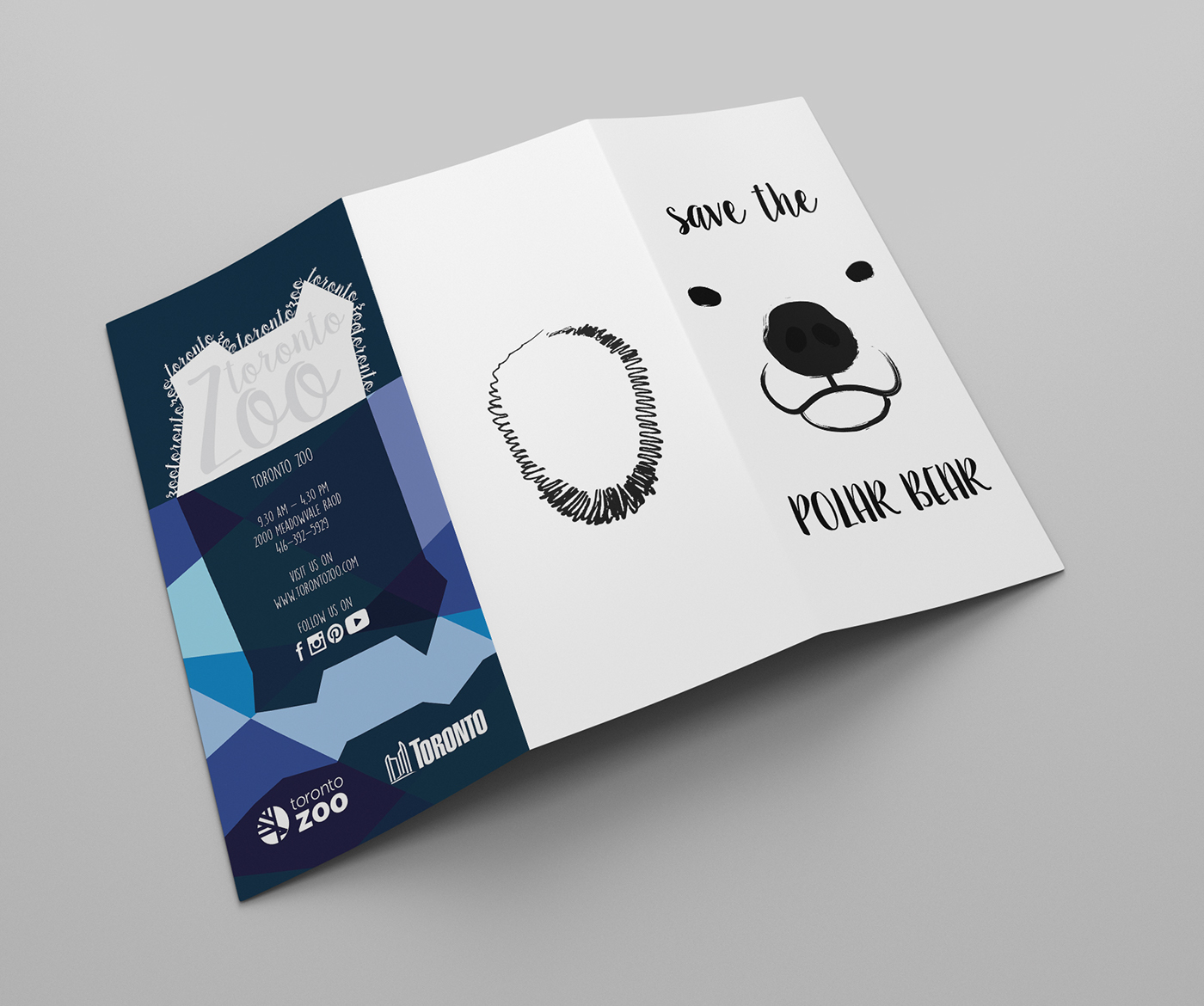 brochure tri-fold Polar Bear iceberg Varnish