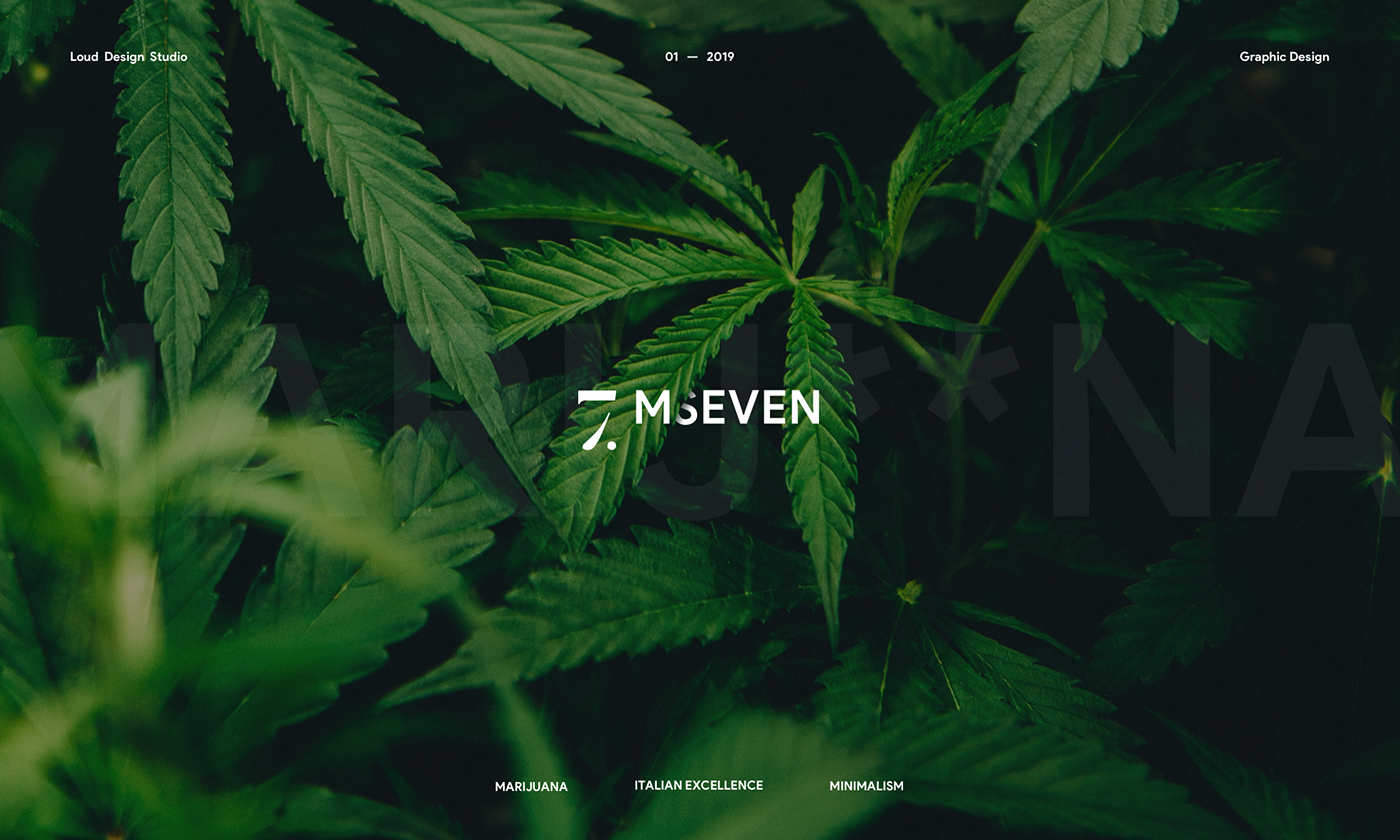 Packaging identity brand product marijuana art direction  typography   graphic design  logo colorful