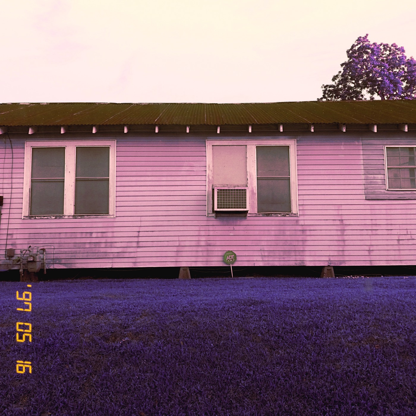 Acadiana cajun photo editing rural purple