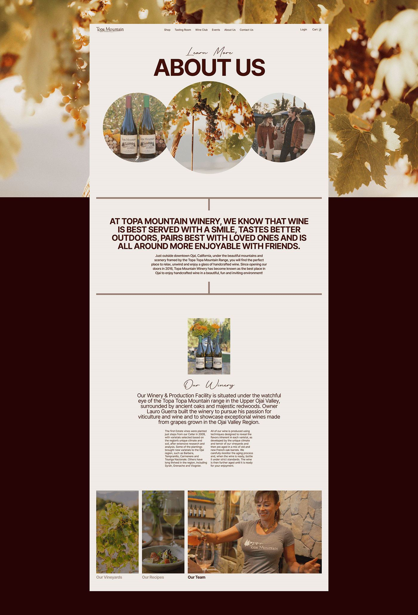Webdesign UI/UX winery e-commerce website redesign winewebsite Winery website ui design Topa Mountain Winery concept