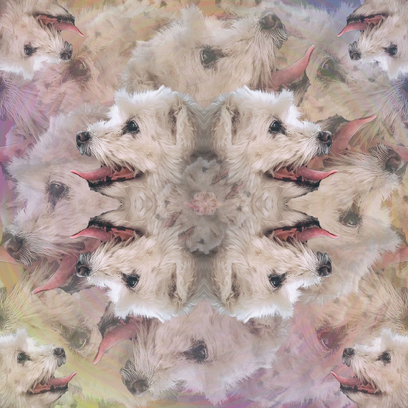abstract Digital Art  kaleidoscope pattern