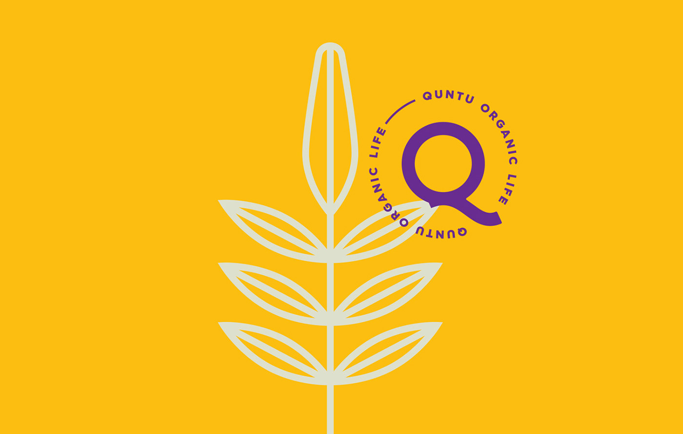 Packaging design branding  organic Food  product design  logo purple Ecuador quinoa