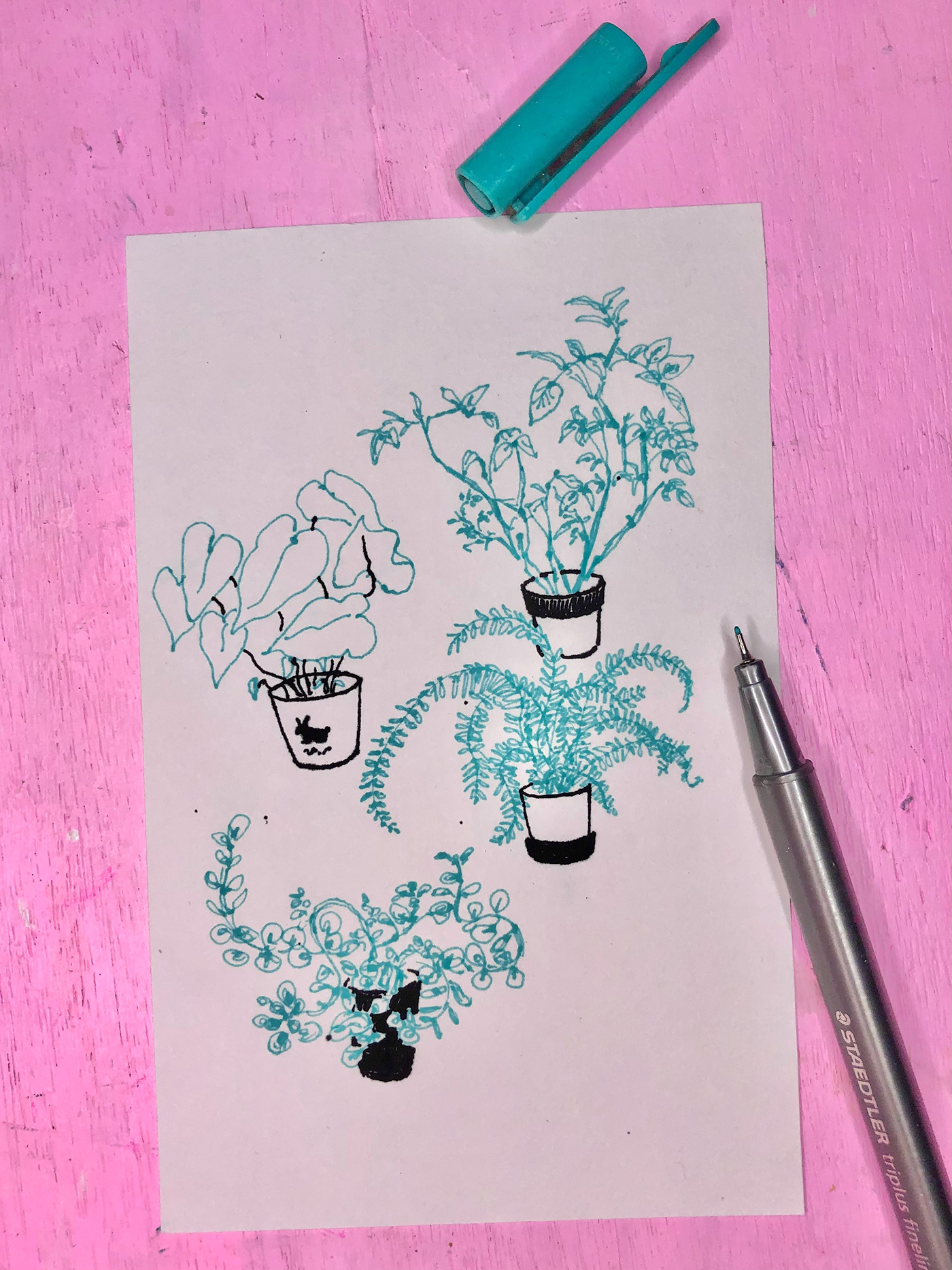 fountain pen Drawing  sketchbook plants ink on paper paper draw Roses Tree  Flowers line art comic black ink write story Holiday relax calm sketch life Hong Kong pens freehand story teller solitude healing therapy mood helpless pink colorful colors City Life city lonely 琉璃   art عربي