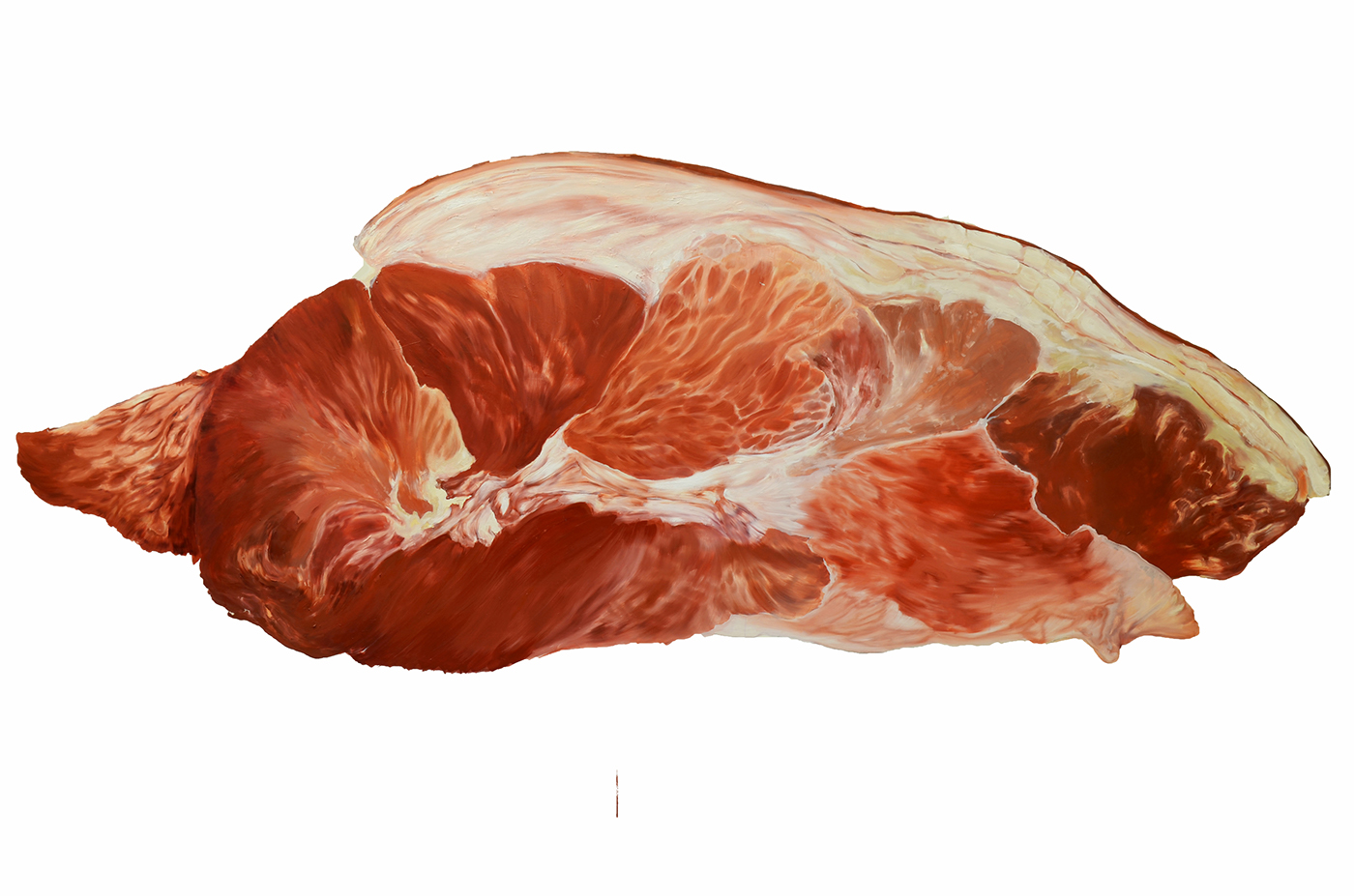 meat Food  Chuck bacon ham pork chops haunch meat still life organic flesh