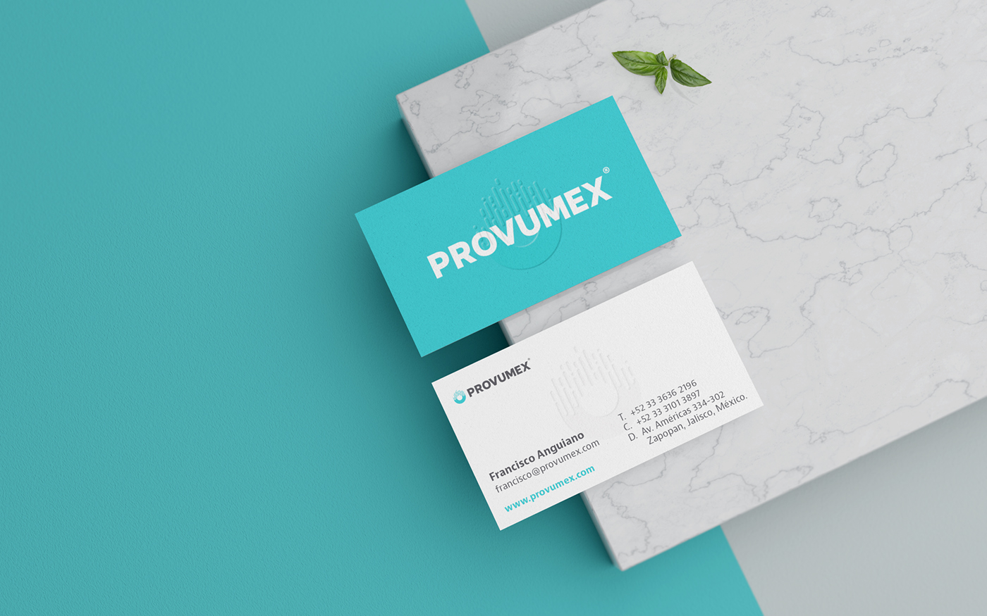 branding  brand blue medical Pharmaceutical vet Icon box Business Cards mexico
