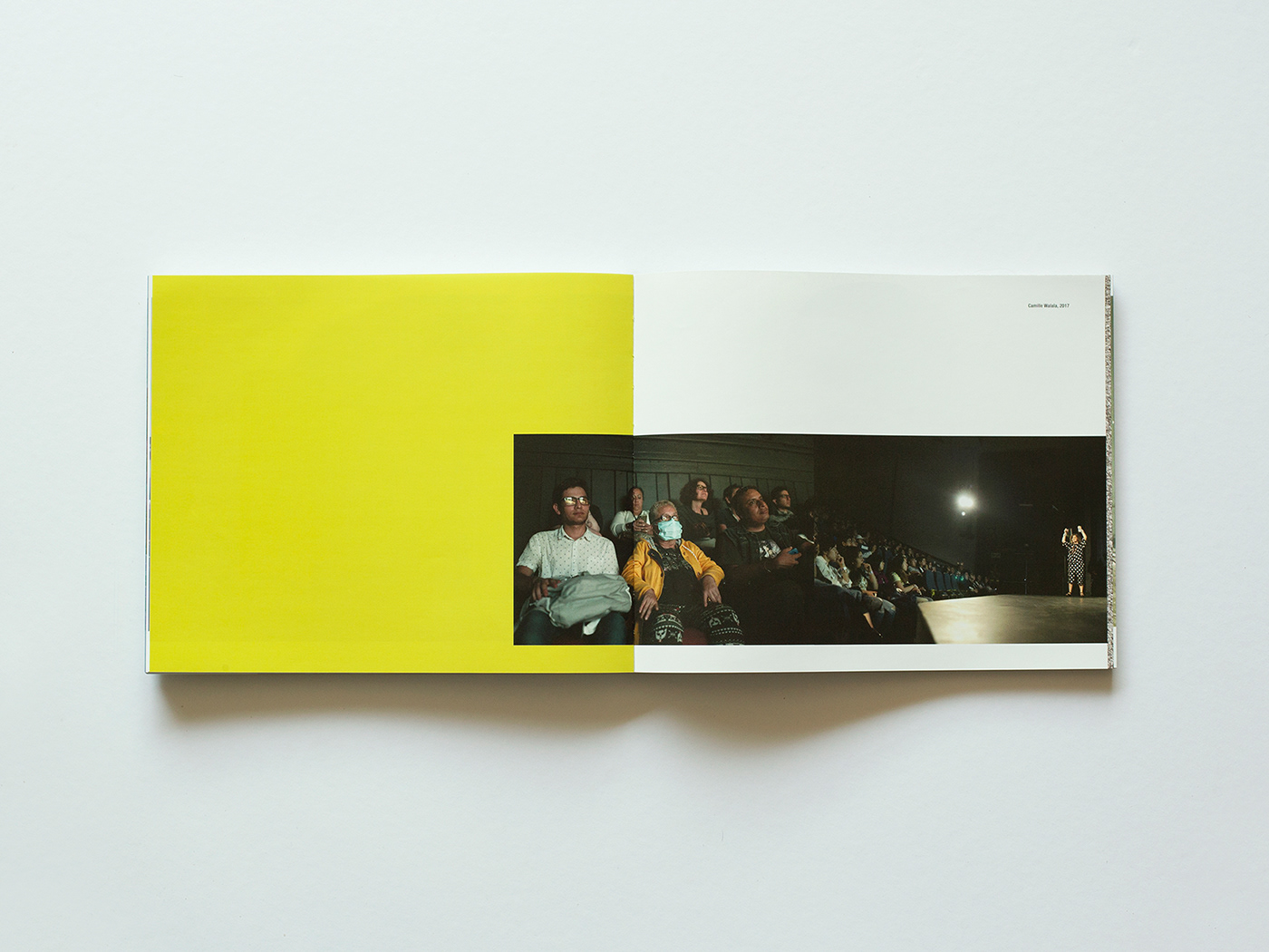 editorial design  experimental director de arte digital Color en imágenes composición fotografica Libro disruptivo reticulas composition Layout
