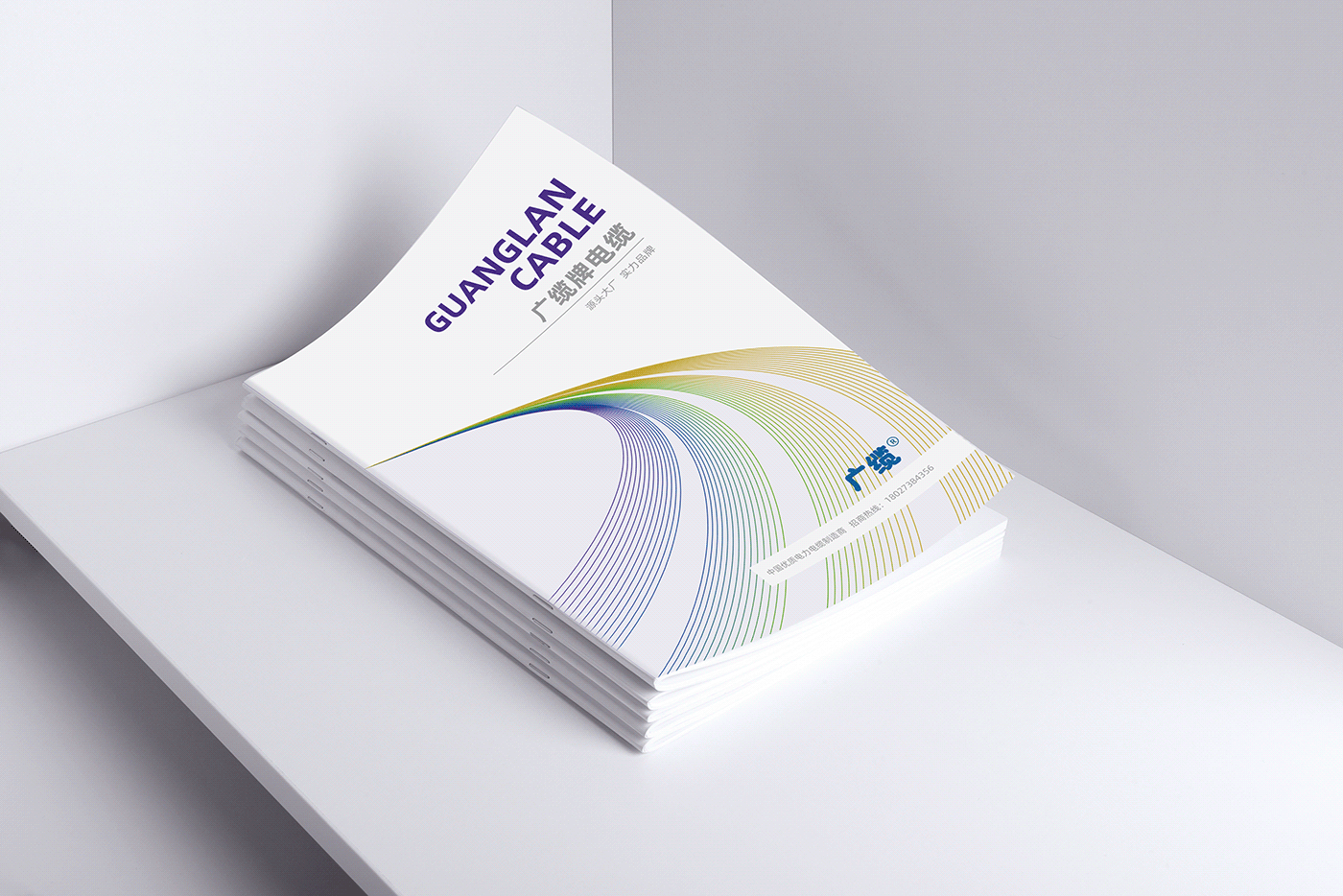 graphic 产品手册 关键要素设计 品牌画册 平面设计 排版 版式设计 画册设计，宣传册设计， 视觉设计