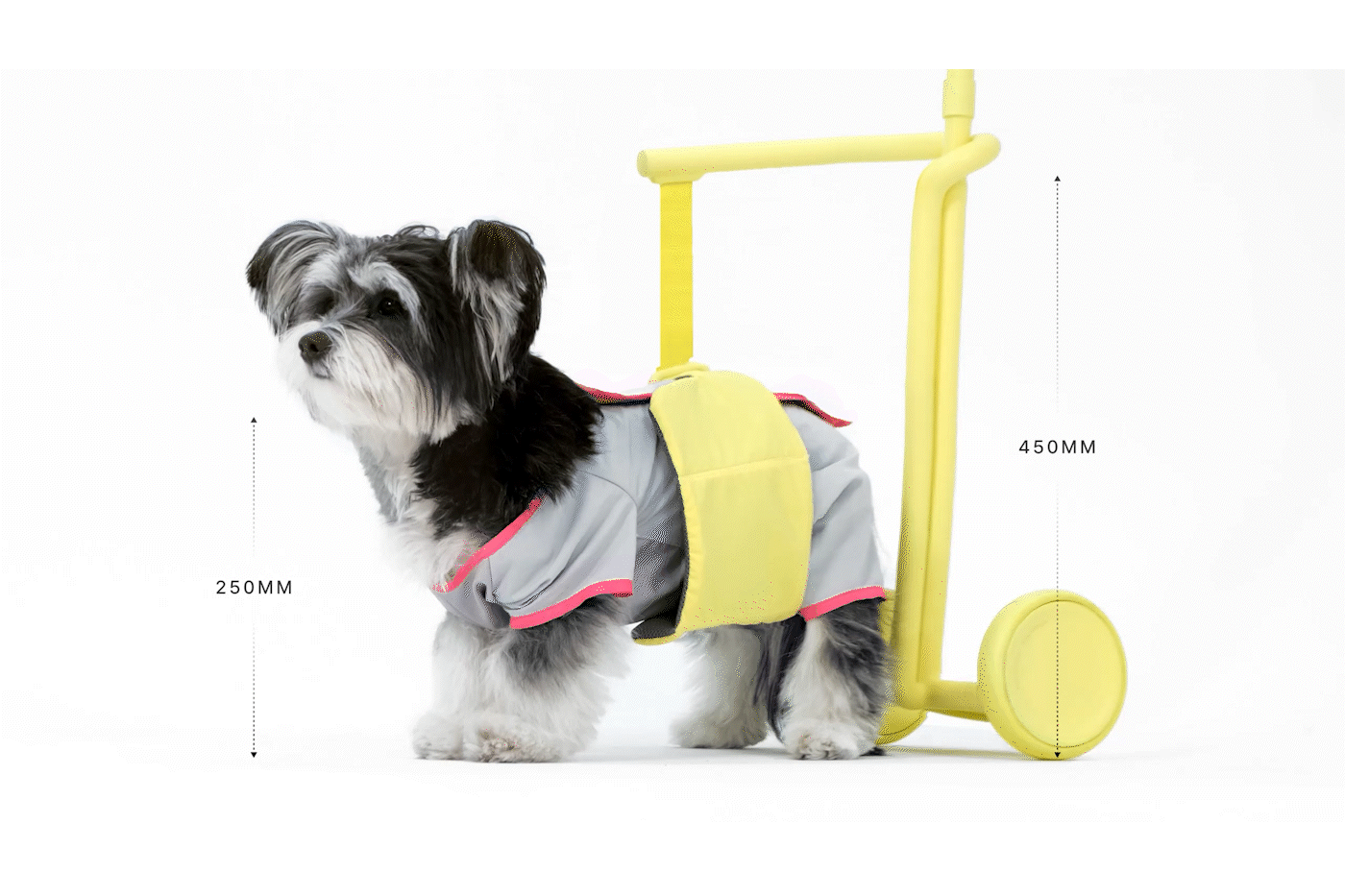 product design  universal design design animals product prototype Health walking aid Elderly dog