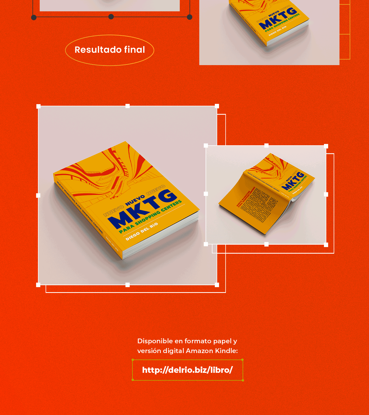 book design diseño Diseño editorial diseño gráfico editorial graphic design  libro maquetado