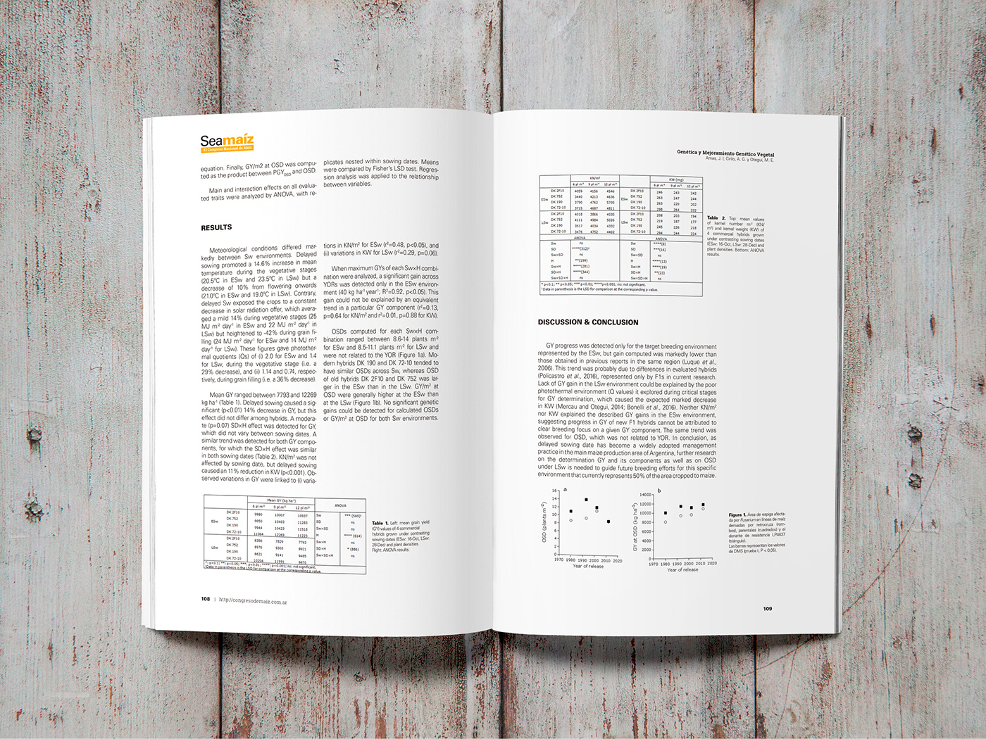 Diseño editorial cover maiz reticula maquetación libro digital ebook e-book scientific diseño gráfico