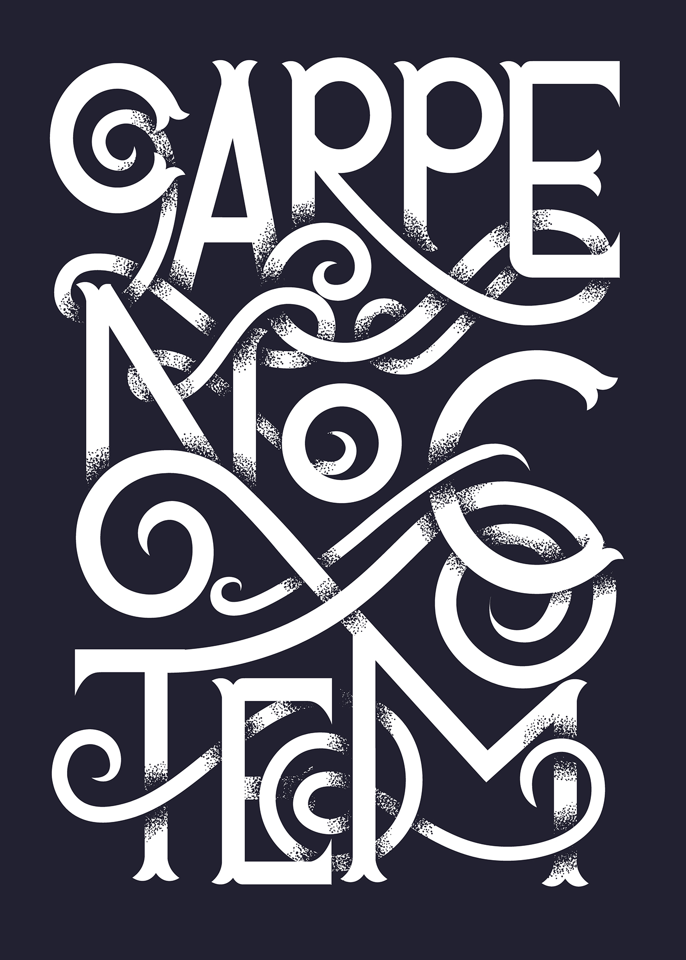 poster typographic type Latin quote Carpe noctem inspiration Script lettering vintage